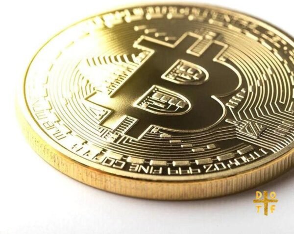Bitcoin Coin Memento with Coin Case, Bodily Bitcoin ... - Image 5