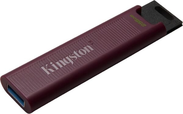 Kingston DataTraveler Max Kind-A 256GB Excessive Efficiency... - Image 3