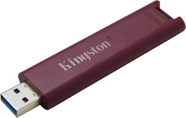 Kingston DataTraveler Max Kind-A 256GB Excessive Efficiency... - Image 2